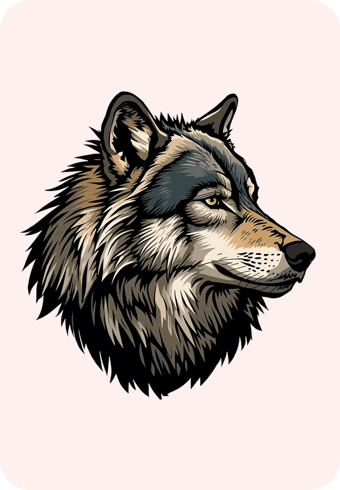 AR Drawing illustration tracing on paper